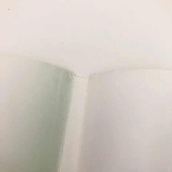 Vtg 1995 The Million Dollar Bear William Kotzwinkle Catrow Knopf - Picture 8 of 16